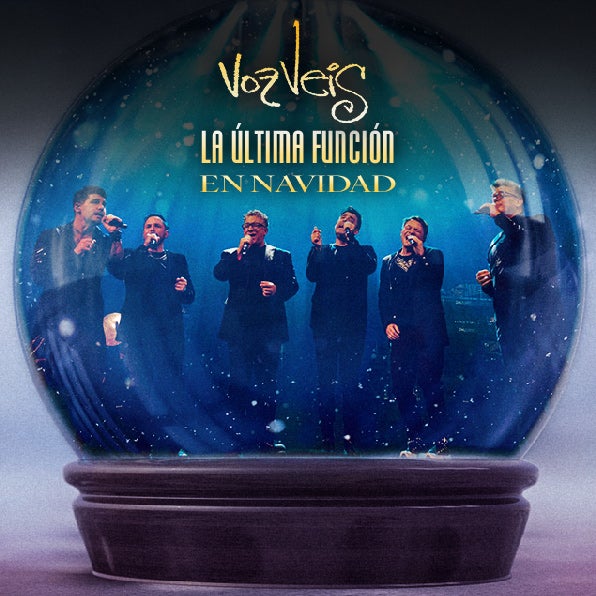 More Info for Voz Veis 